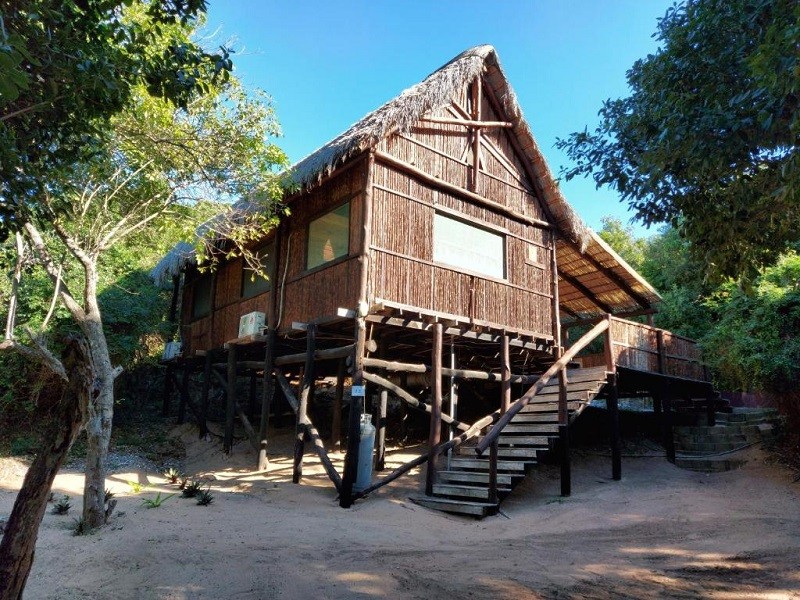 Apex Travel Club - ATC - East Africa Safaris