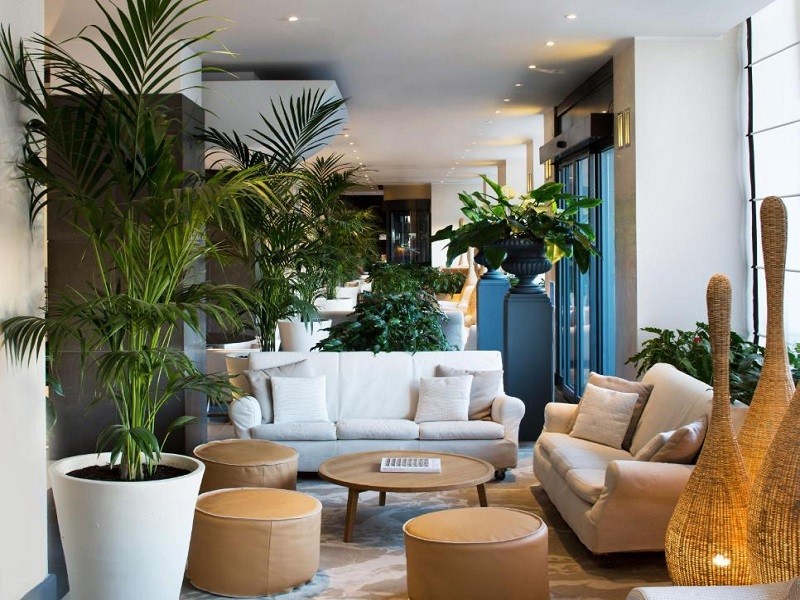 Apex Travel Club - ATC - Starhotels Excelsior