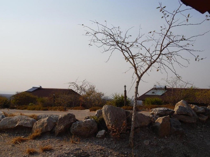 Apex Travel Club - ATC - Aloegrove Safari Lodge
