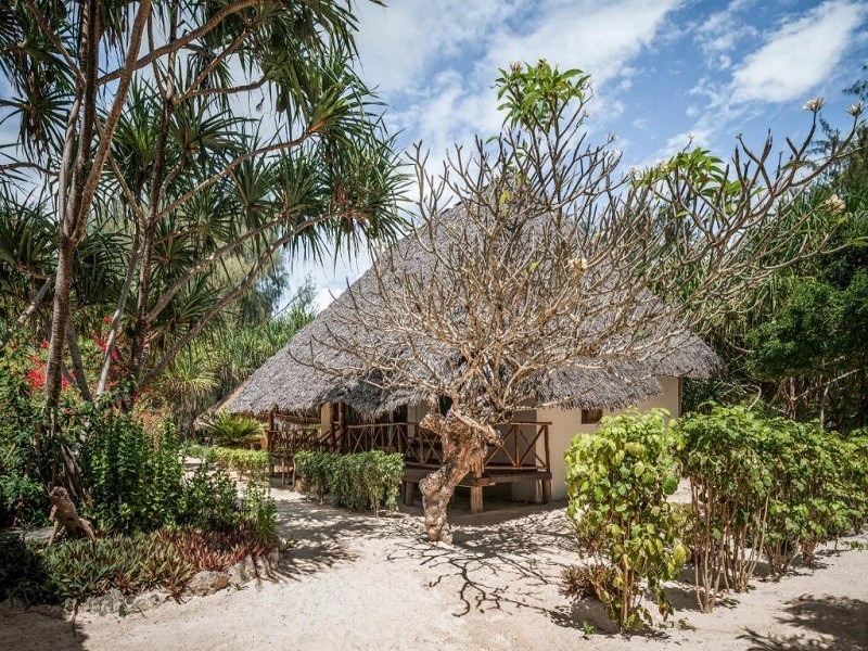 Apex Travel Club - ATC - Hakuna Majiwe Beach Lodge