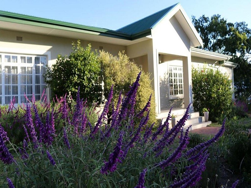 Apex Travel Club - ATC - Daisy Place