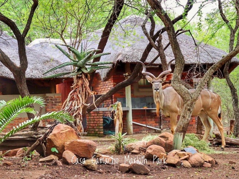 Apex Travel Club - ATC - Casa Camacho