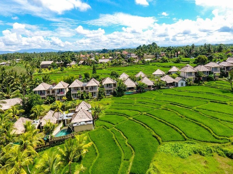Apex Travel Club - ATC - Atta Mesari Ubud