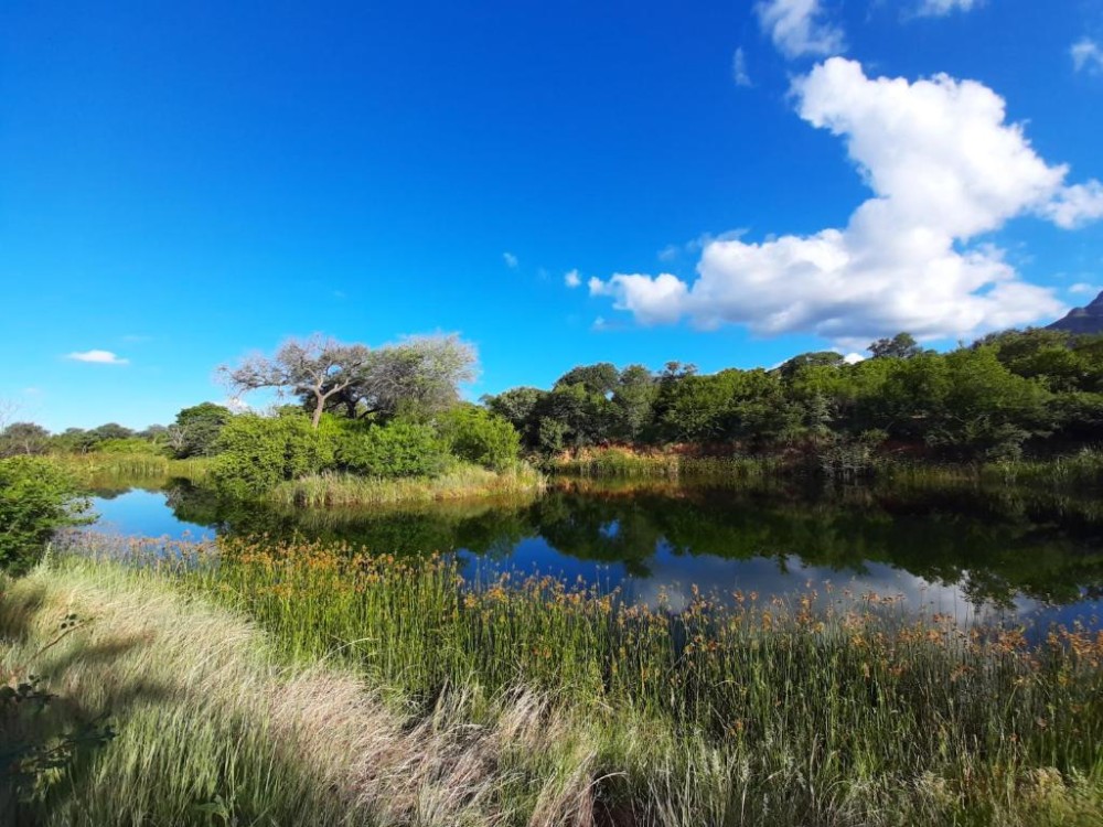 Apex Travel Club - ATC - Hoedspruit Bushveld Retreat