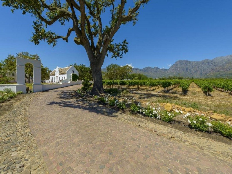 Apex Travel Club - ATC - Adara Palmiet Valley Luxurious Boutique Farm Hotel