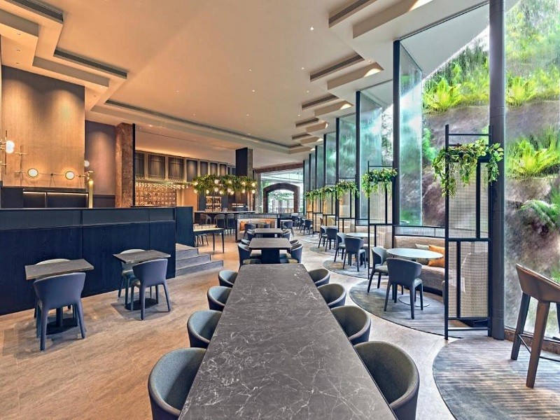 Apex Travel Club - ATC - Vibe Hotel Singapore Orchard