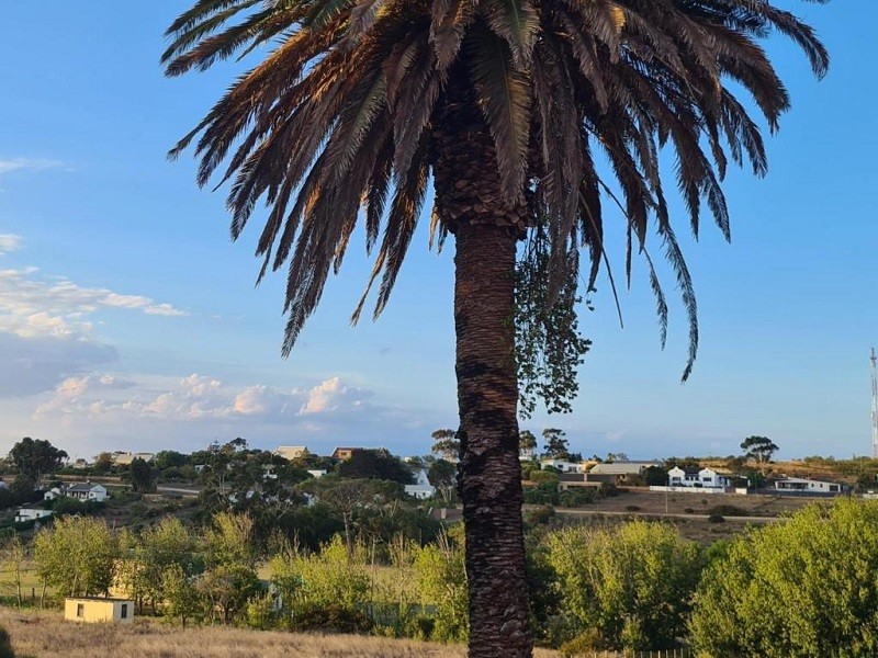 Apex Travel Club - ATC - The Restio Country Guesthouse