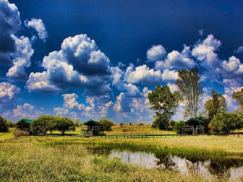 Apex Travel Club - ATC - Savannah Game Lodge, Wedding Venue and River Retreat