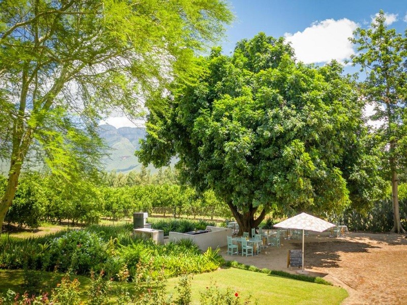 Apex Travel Club - ATC - Francine’s Farmhouse & Venue