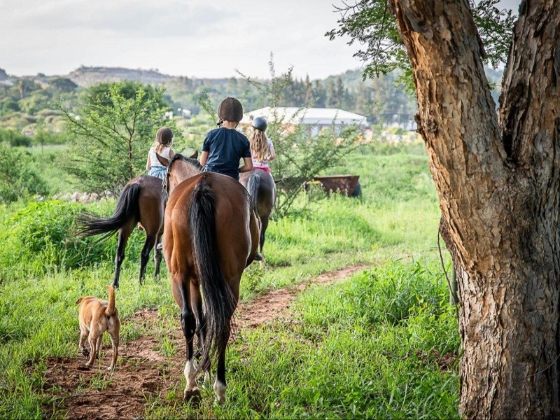 Apex Travel Club - ATC - The Barn at Tembele