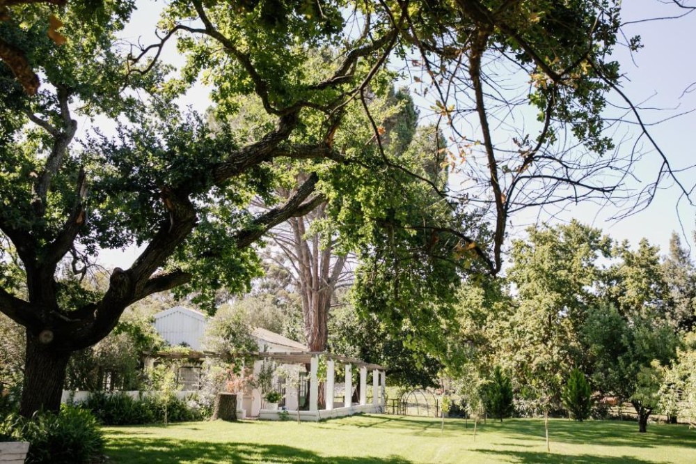 Apex Travel Club - ATC - Montpellier De Tulbagh