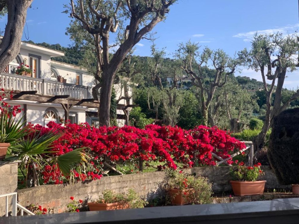 Apex Travel Club - ATC - Villa Giovanna