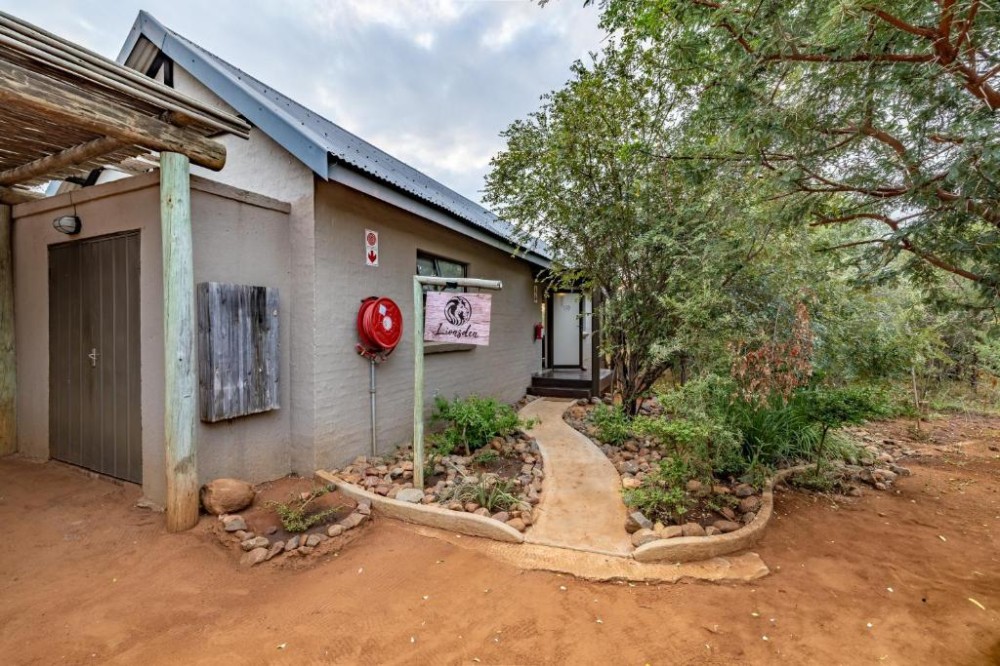 Apex Travel Club - ATC - Wildheart Safari - Lion's Den