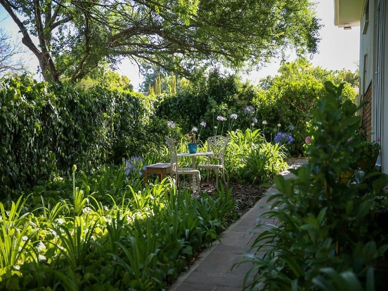 Apex Travel Club - ATC - Ivy House - Super Spacious Spot- Somerset West