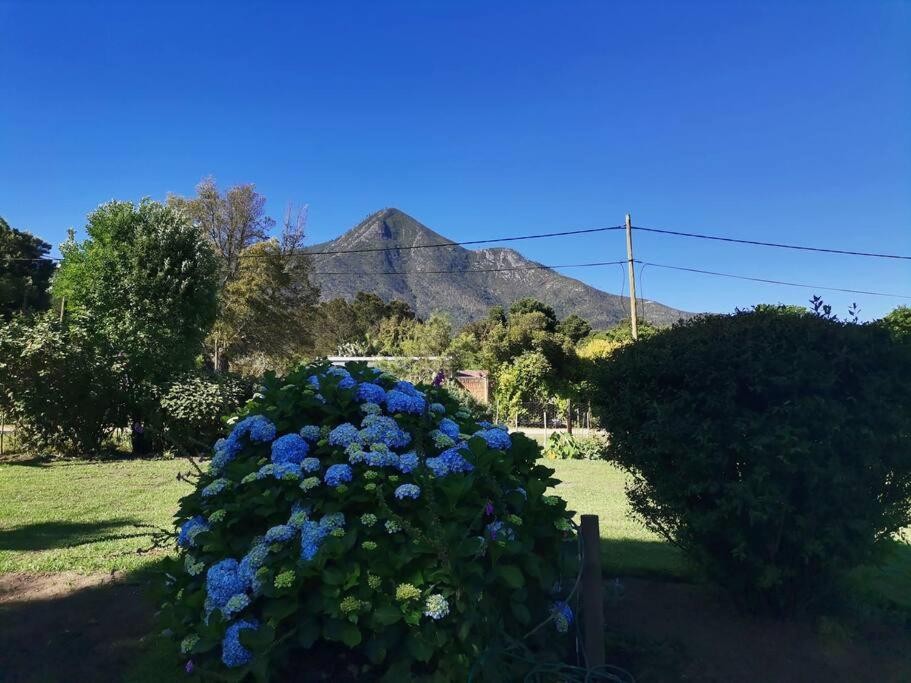 Apex Travel Club - ATC - Next to Heaven Guesthouse
