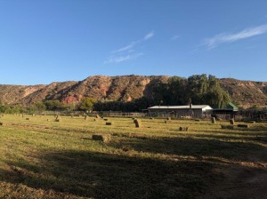 Apex Travel Club - ATC - Soeterus Guest Farm